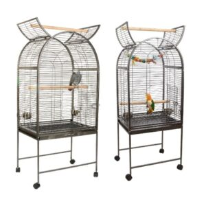 cage for parrot